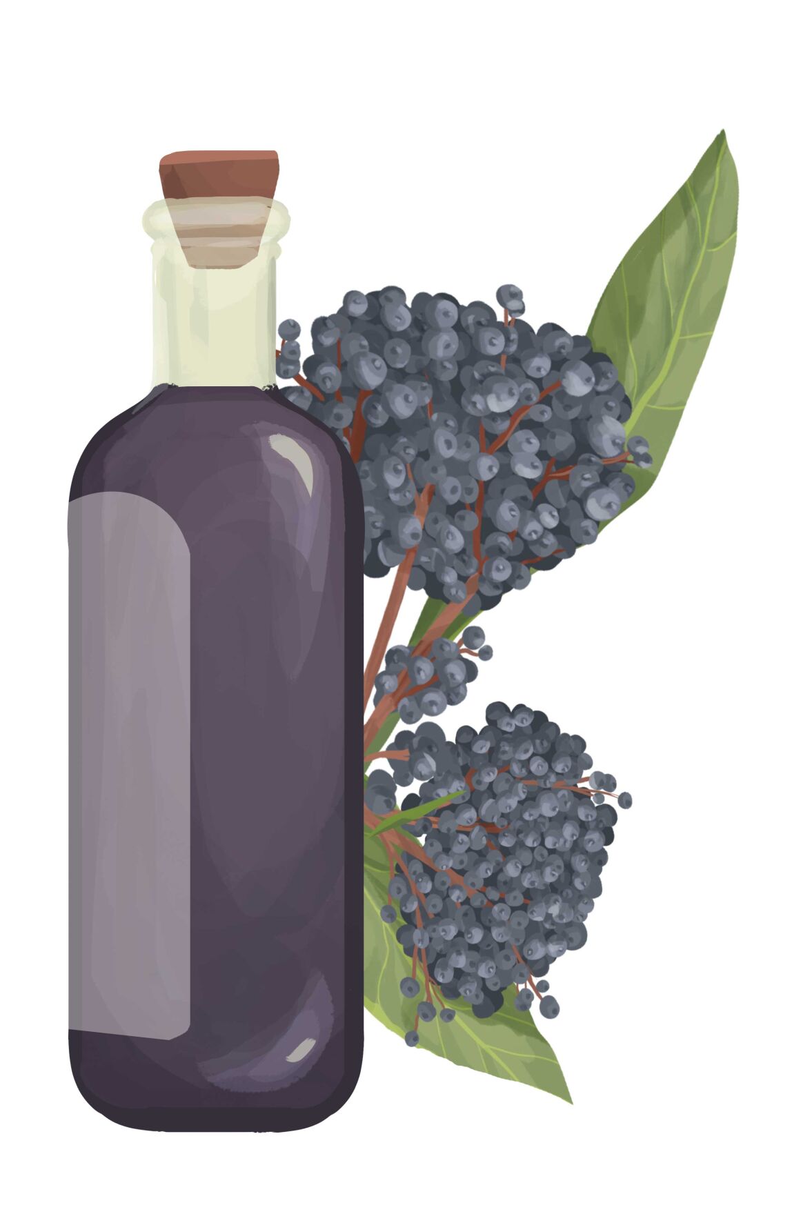 immunity-syrup.jpg